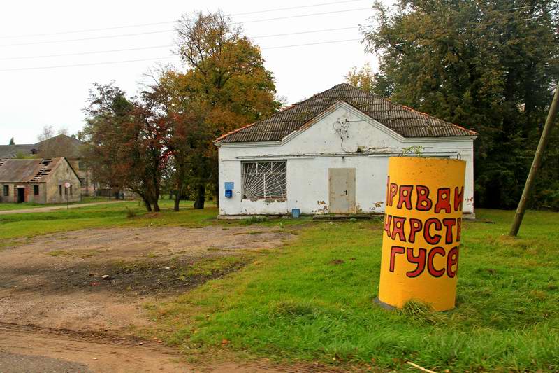 Правдино - царство гусей