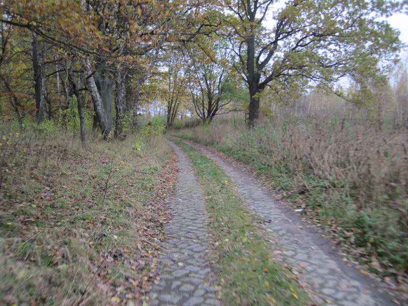Выезд из Красноярского леса по красивой брусчатке