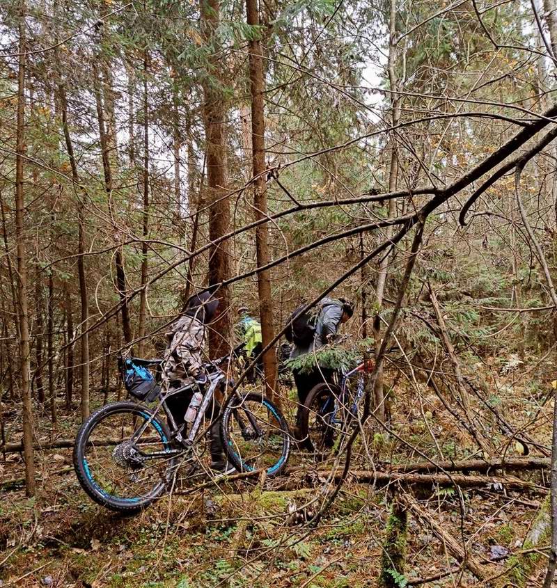 Повернули на просеку, уходящую на восток
