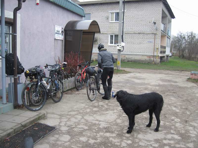 Таримся