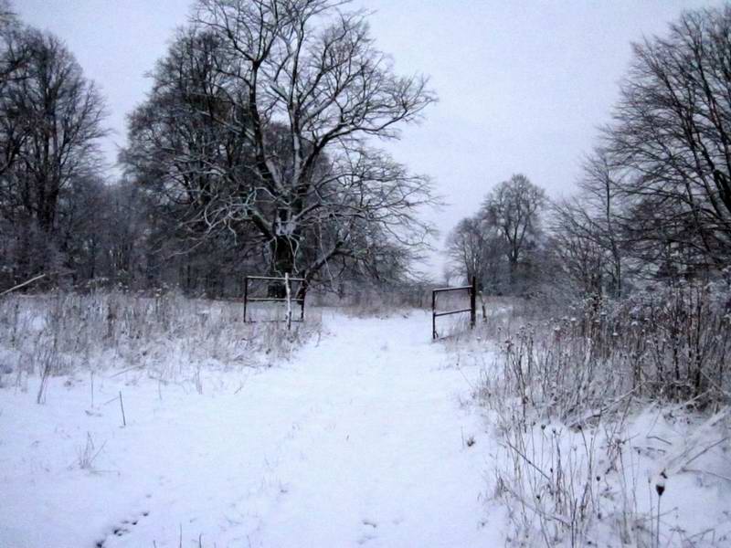 Проезжаем через открытые ворота