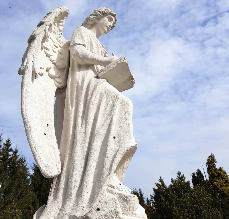 Дева Мария пишет отчёт