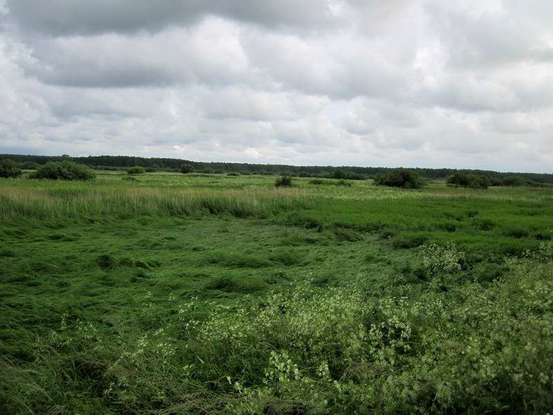 Место посадки НЛО на берегу Куршского залива