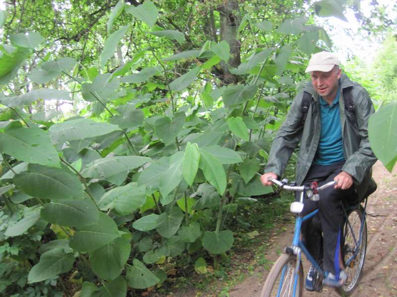Дмитрий Новиков в джунглях