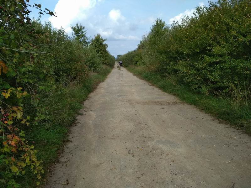 Старый асфальт