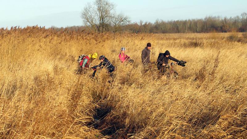 Манёвры с велосипедами в камышах.