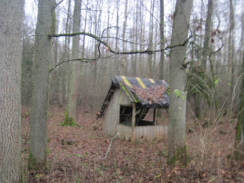 Беседка