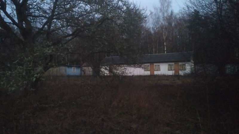 Детский лагерь Сокол, живой