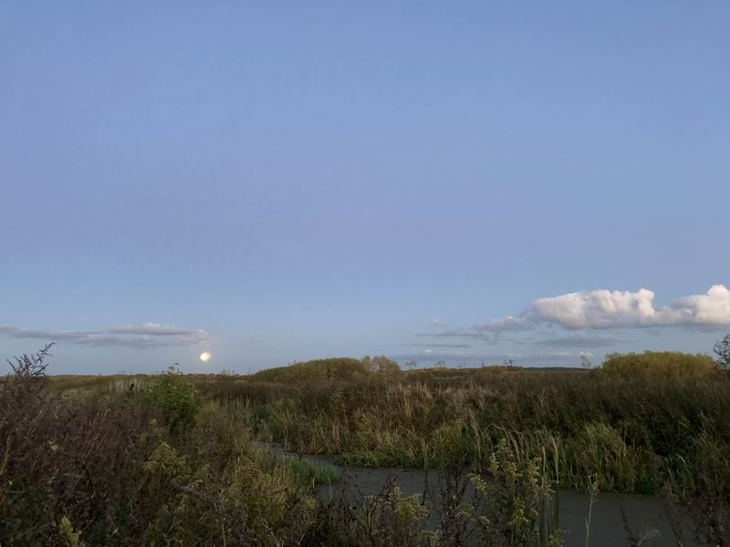 Восход Луны над Головёнкой