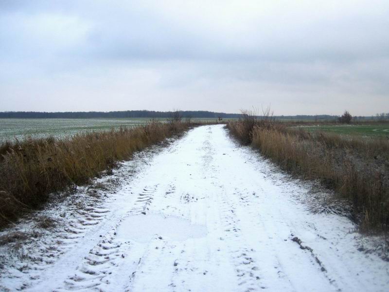 Начало первопрохода в сторону пос. Костромино. Несколько дней назад здесь был гуаномес