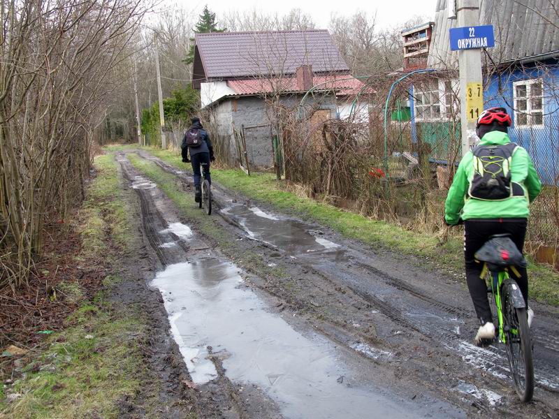 Въезжаем в лес.