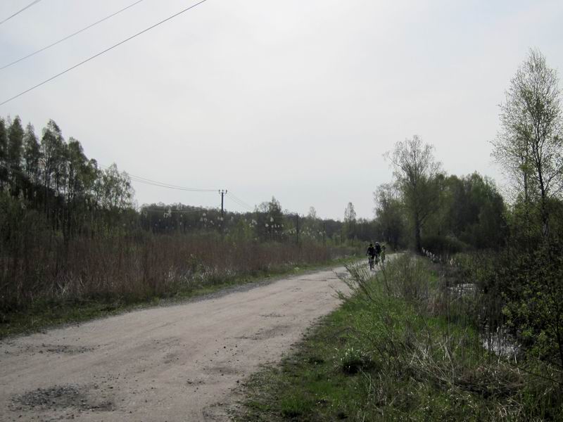 А вот и они