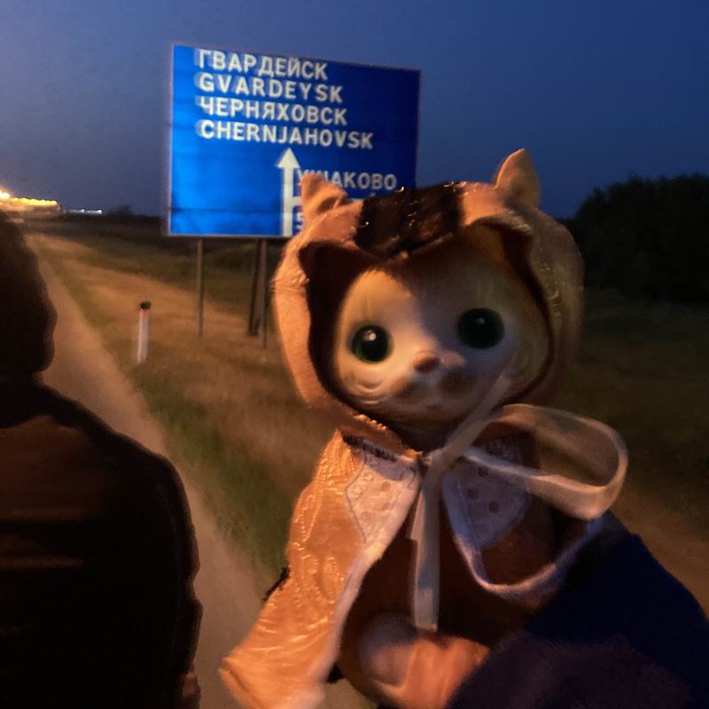 Нам в сторону Гвардейска