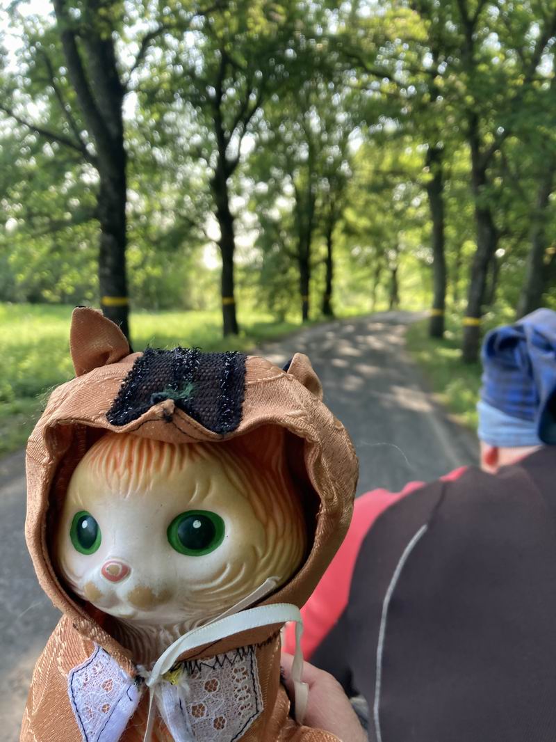 Мчим