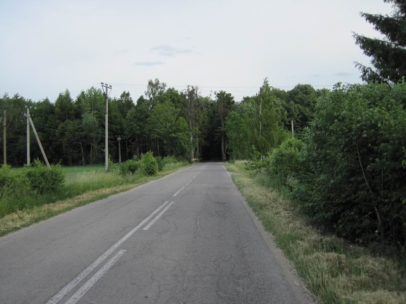Въезд в дремучий Гурьевский лес