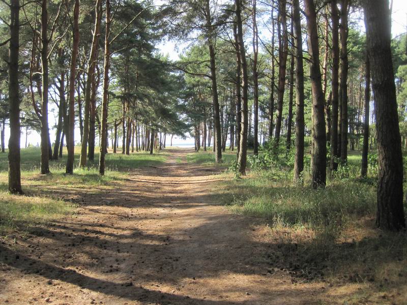 Впереди Калининградский залив
