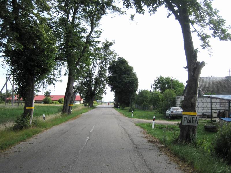 Реклама рыбы в Придорожном