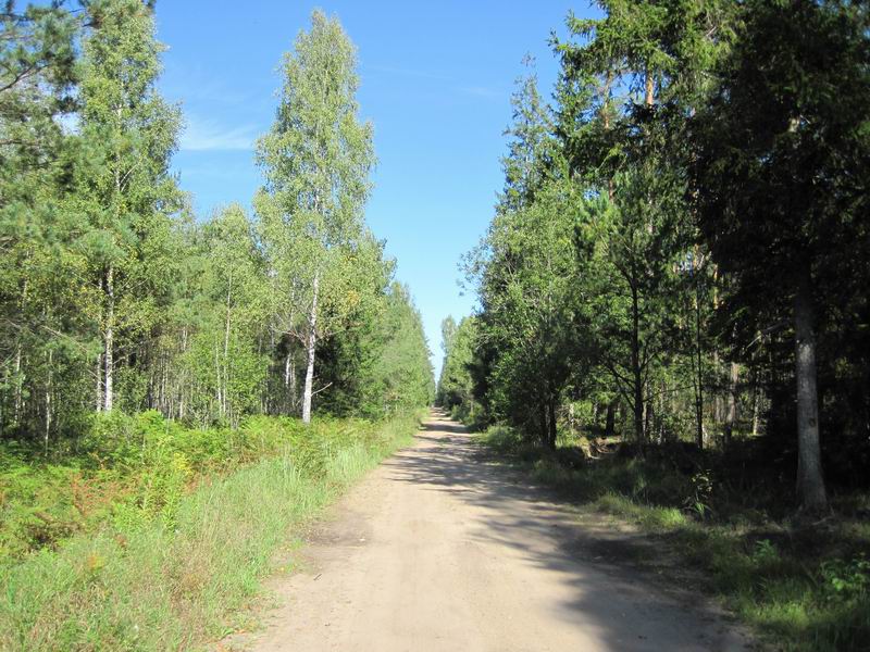 Наша дорога