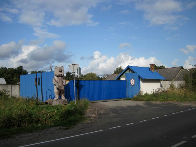 Медвед в Сосновке