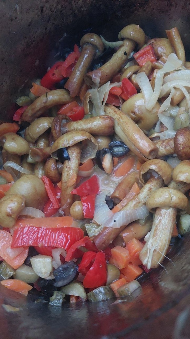 Вот они грибочки