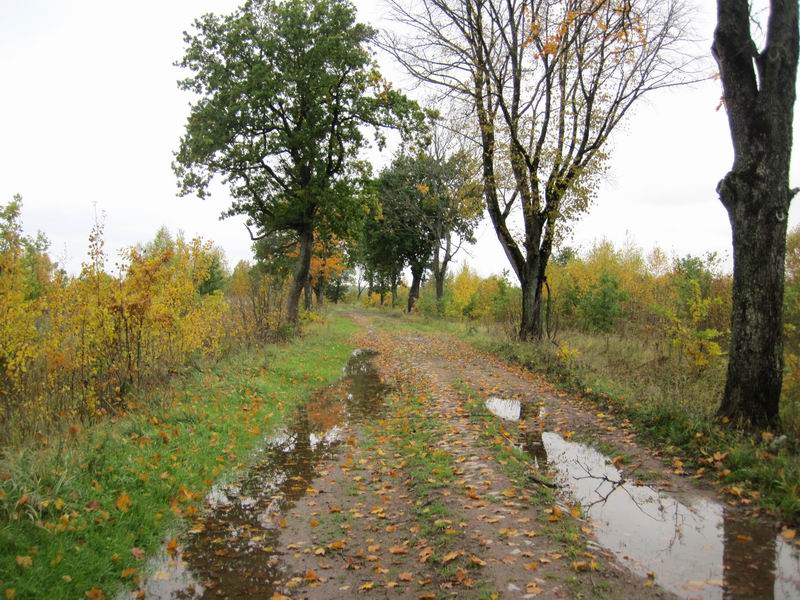 Брусчатка