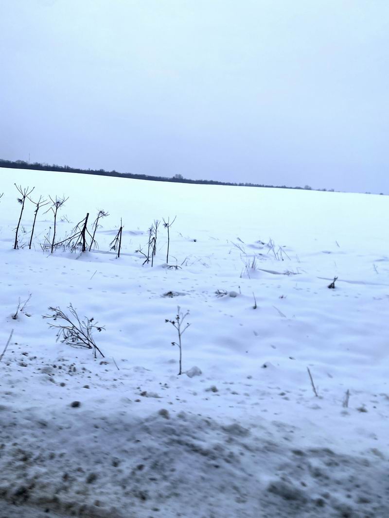 Скоро поедем в такие поля