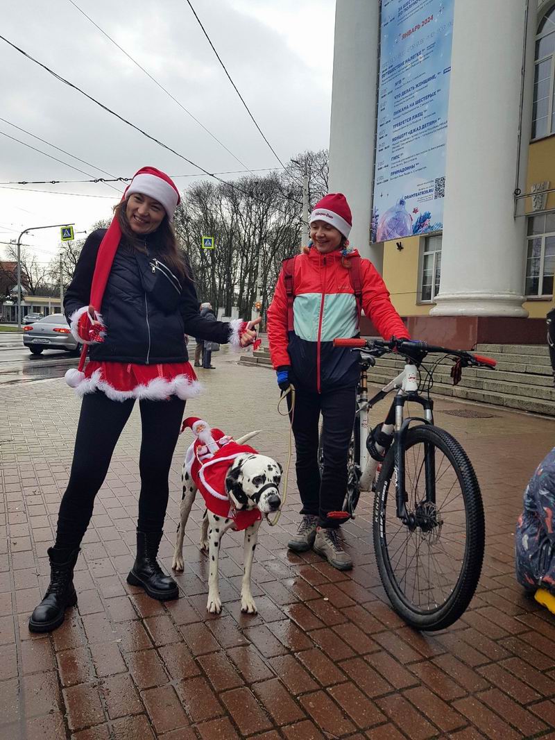 Приехала Настя с Лжефом