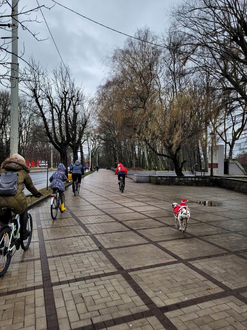 Джеф не отстаёт