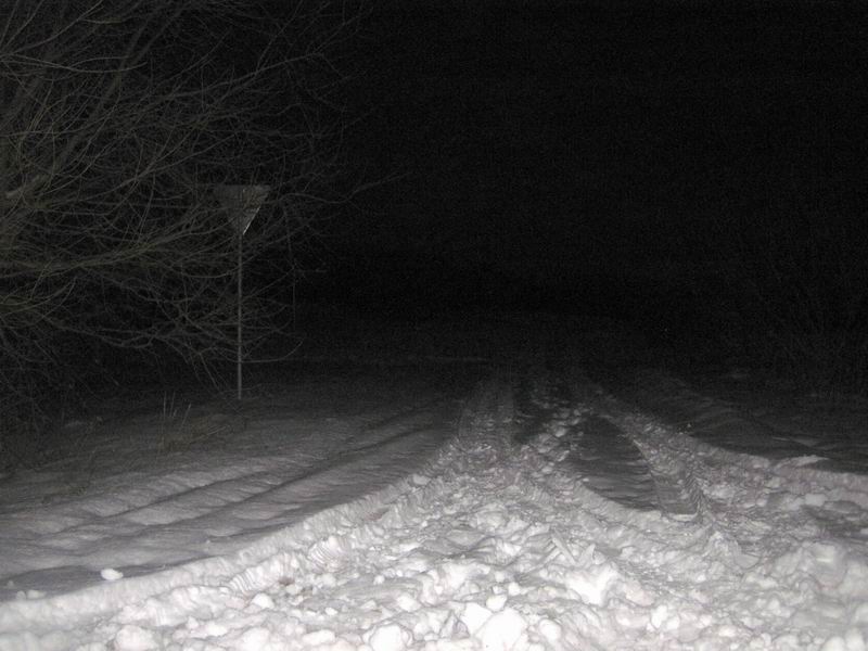 Выезд на асфальтовую дорогу в Заповедном