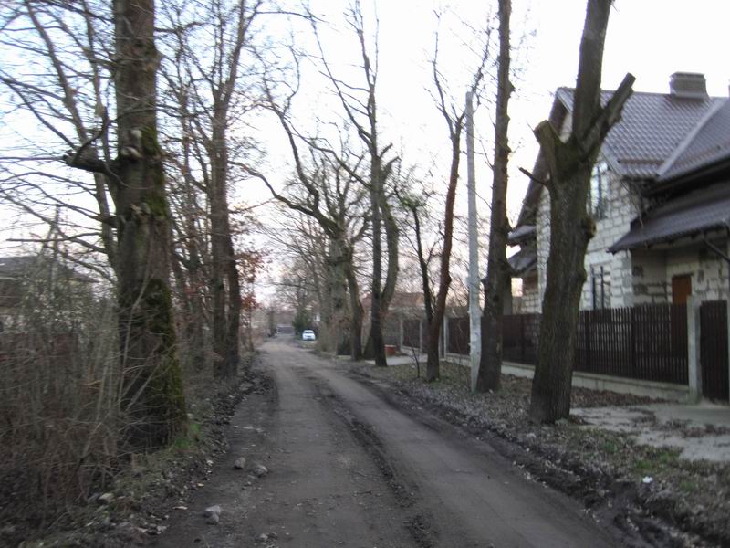 Дорога через дачи