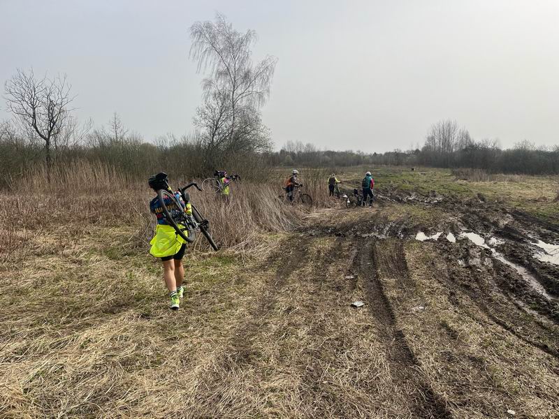 Гуаномес