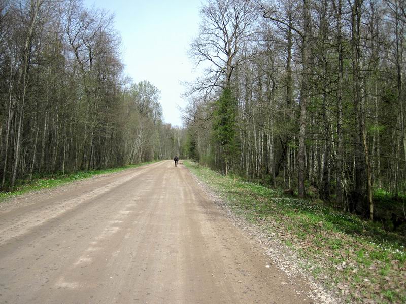 Едем по Гвардейскому лесу