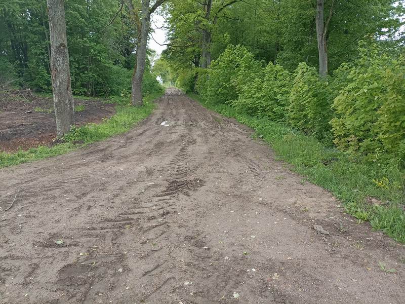 Маргариту и Елену накрыло страшное дежавю.