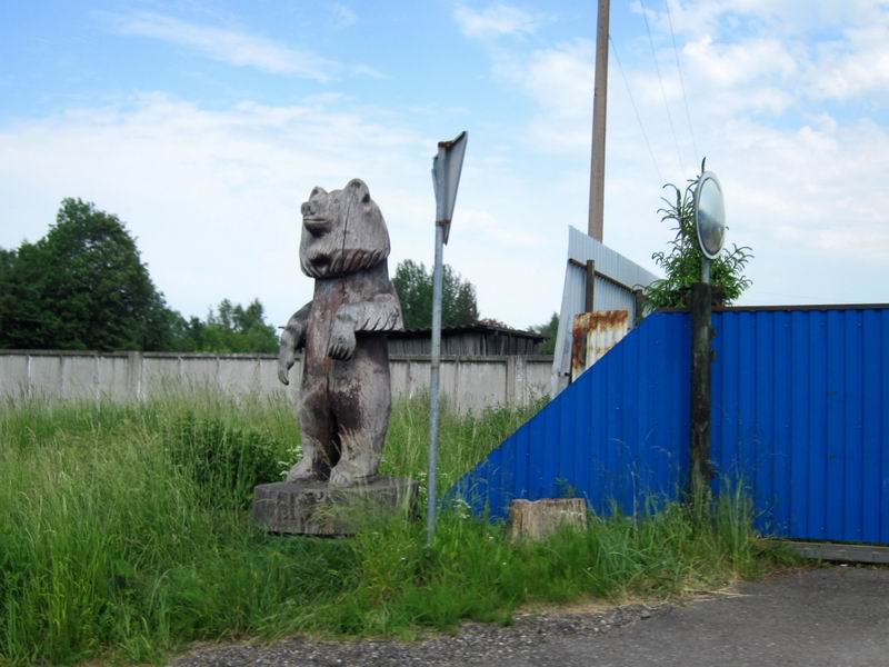 Медвед в Сосновке
