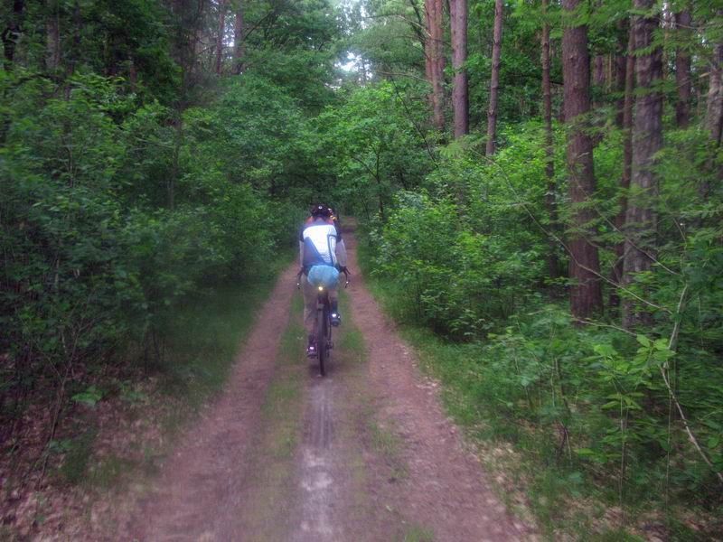 Песчаные дорожки Городского леса.