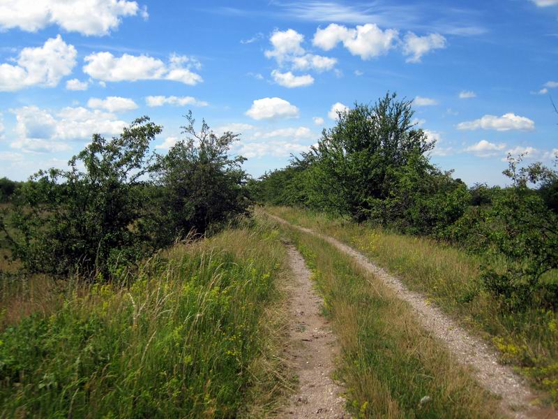 Хорошая грунтовка
