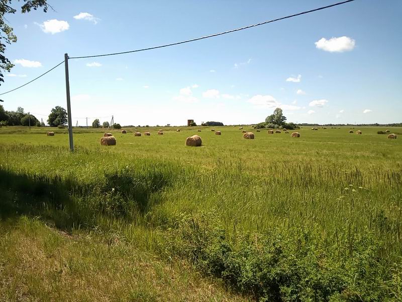 Поле с тюками