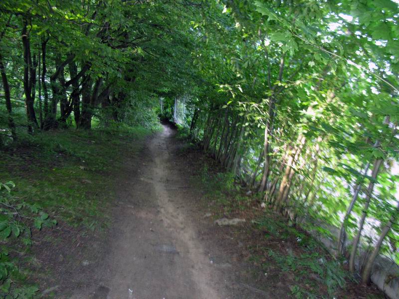Секретная тропинка вдоль речки ...