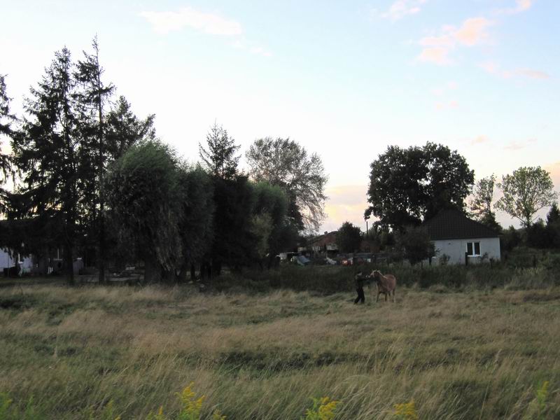 Первые дома и мужик с конём