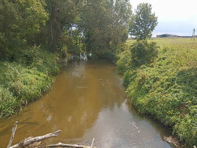 Р. Красная с моста