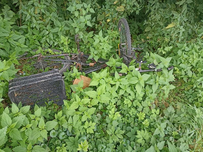 Целый велик в кустах