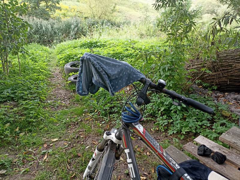 Вид на трусы