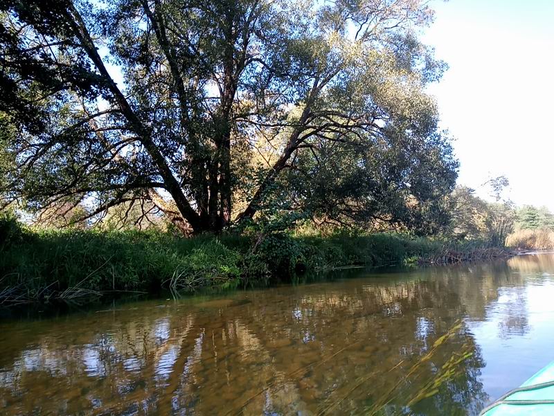 Прозрачная вода