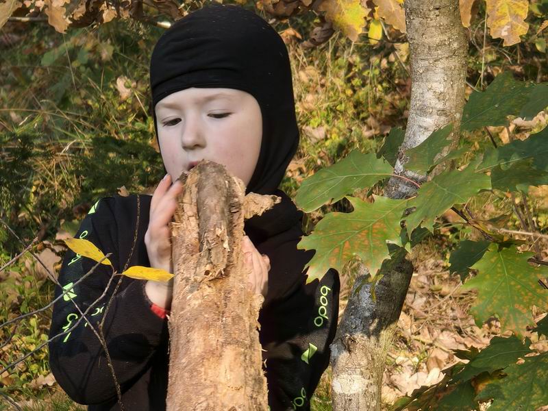 Яромир Пустовит грызёт бревно как бобёр