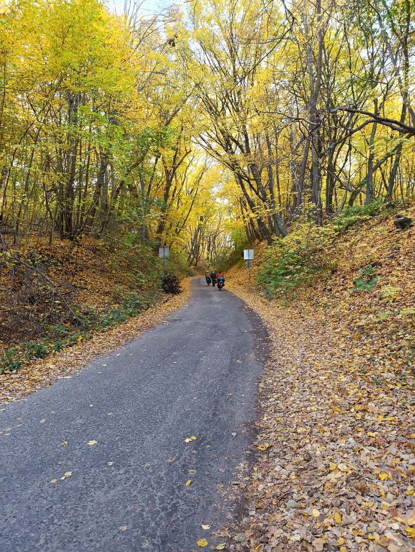 Наслаждаемся красотой