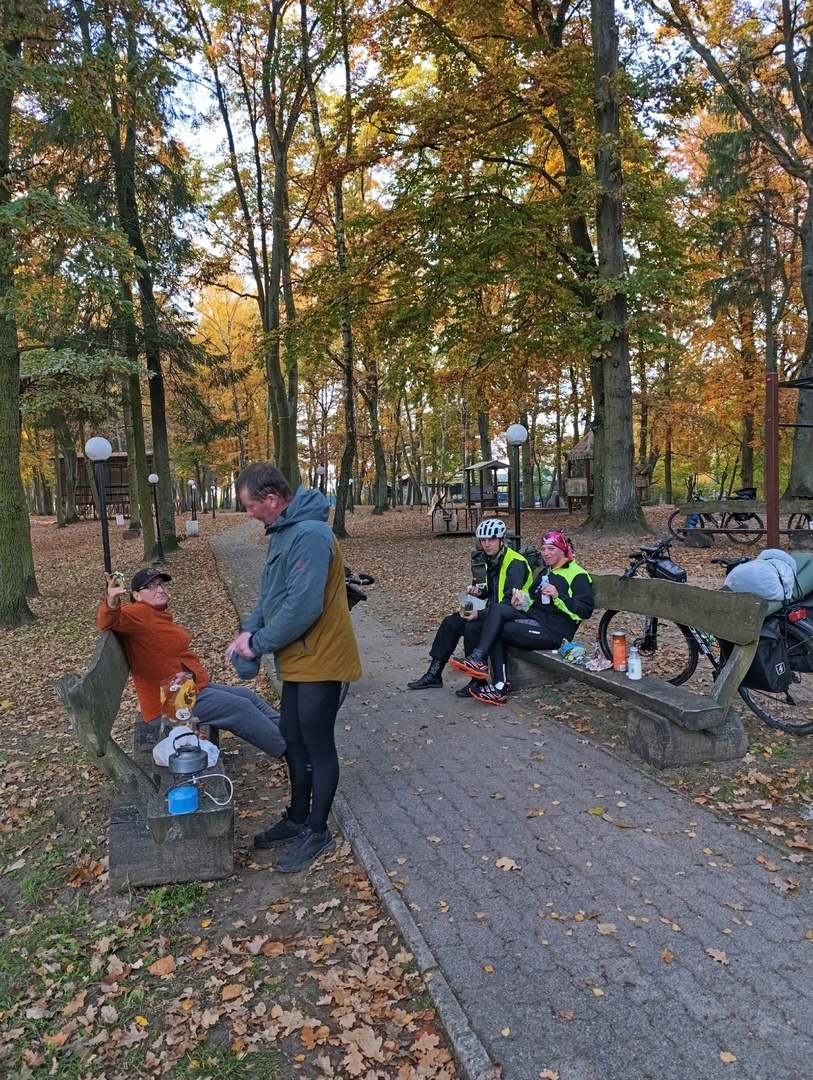 Обедаем в парке