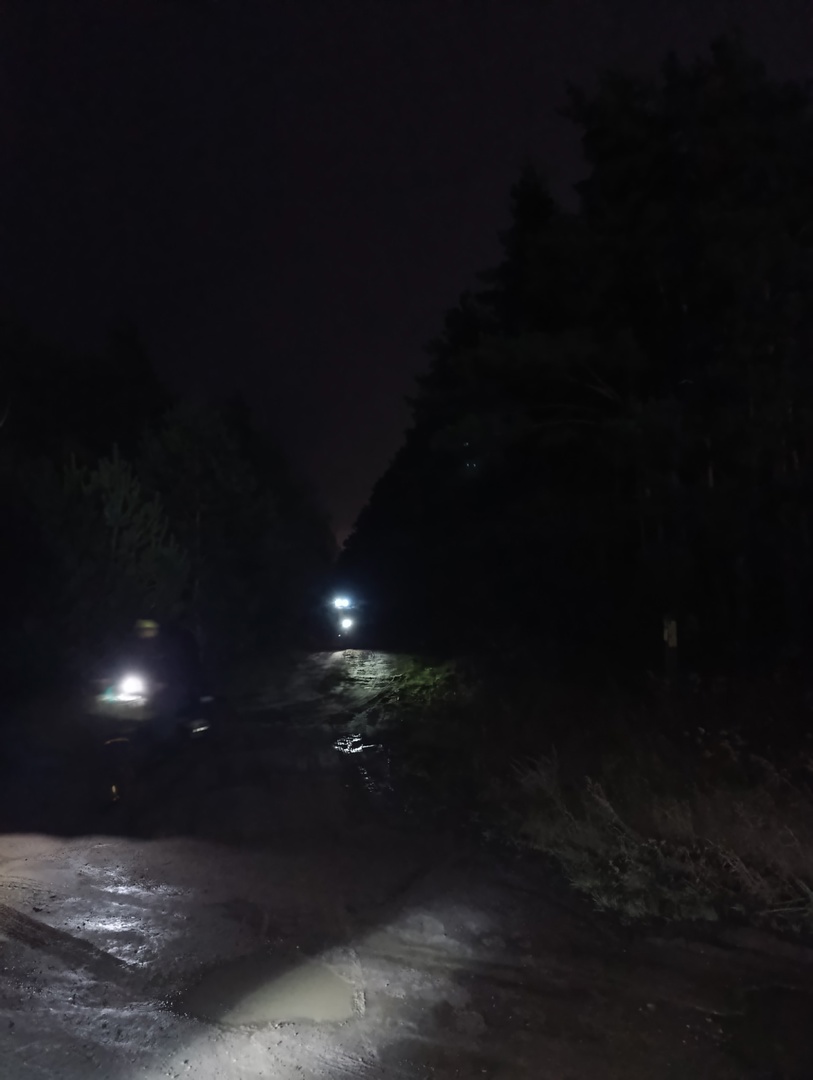 Выезжаем из леса по прекрасной дороге