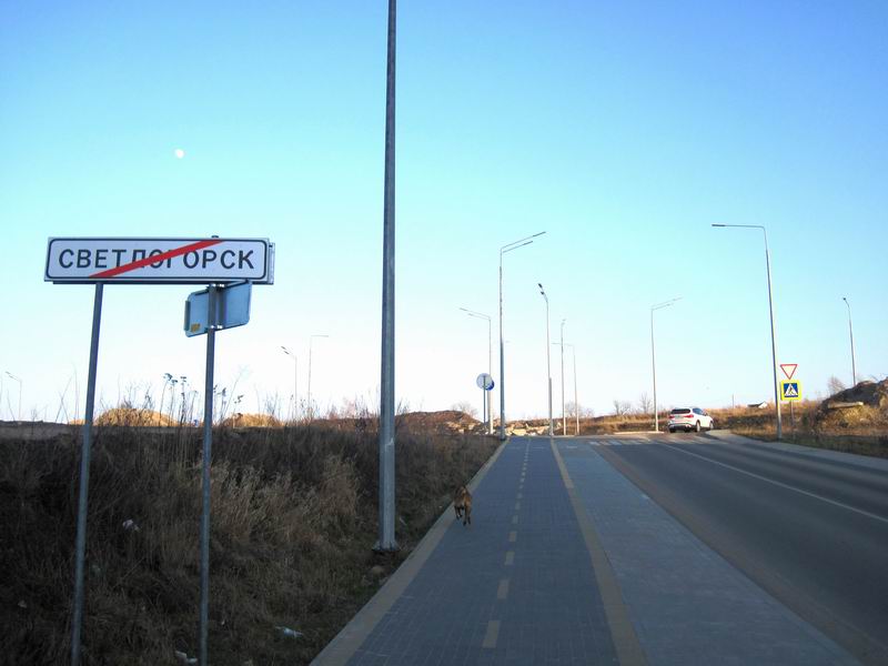 Выезд из Светлогорска