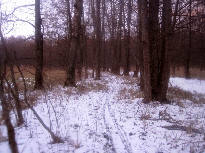 Старая немецкая дорога