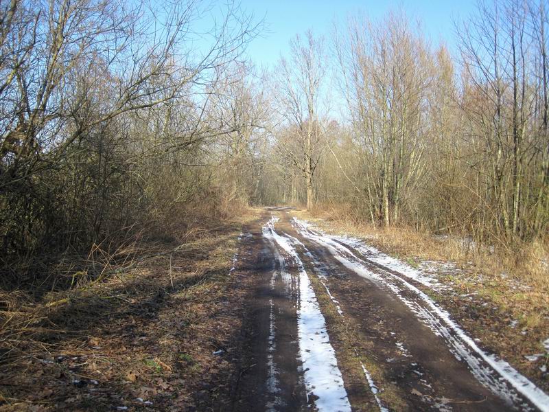 Съезд в Дюнное